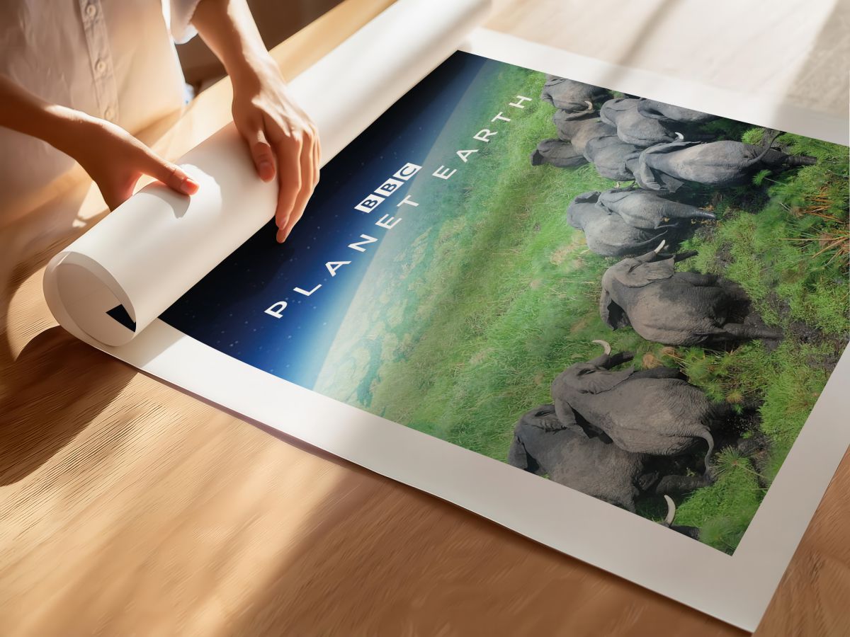 Planet Earth Dizi Posteri, rulo yapılmış çerçevesiz poster