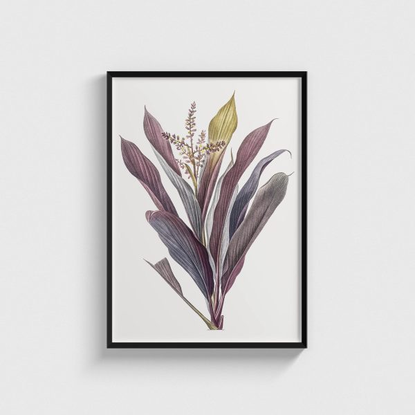 Cordyline Bitkisi Vintage Botanik Çizimi posteri, siyah çerçeveli tablo