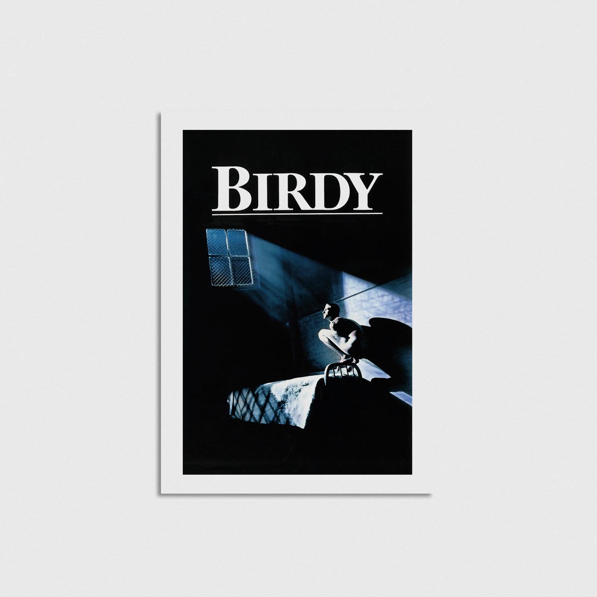 Birdy film posteri, çerçevesiz poster