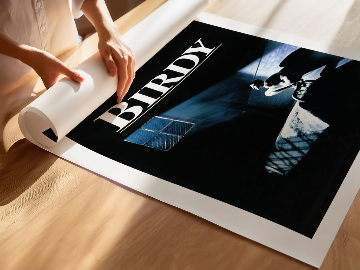 Birdy (1984) Film Posteri, rulo yapılmış çerçevesiz poster