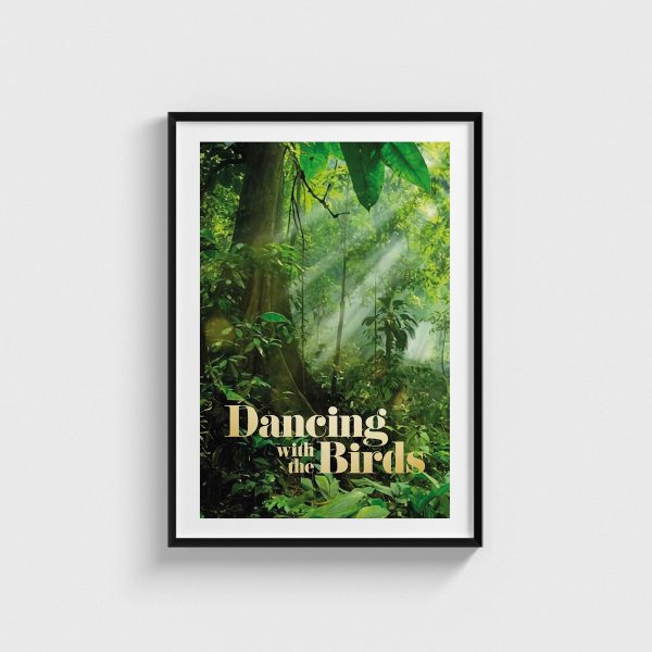 Dancing with the Birds film posteri, siyah çerçeveli tablo