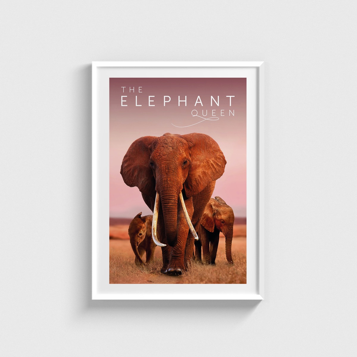 The Elephant Queen film posteri, beyaz çerçeveli tablo