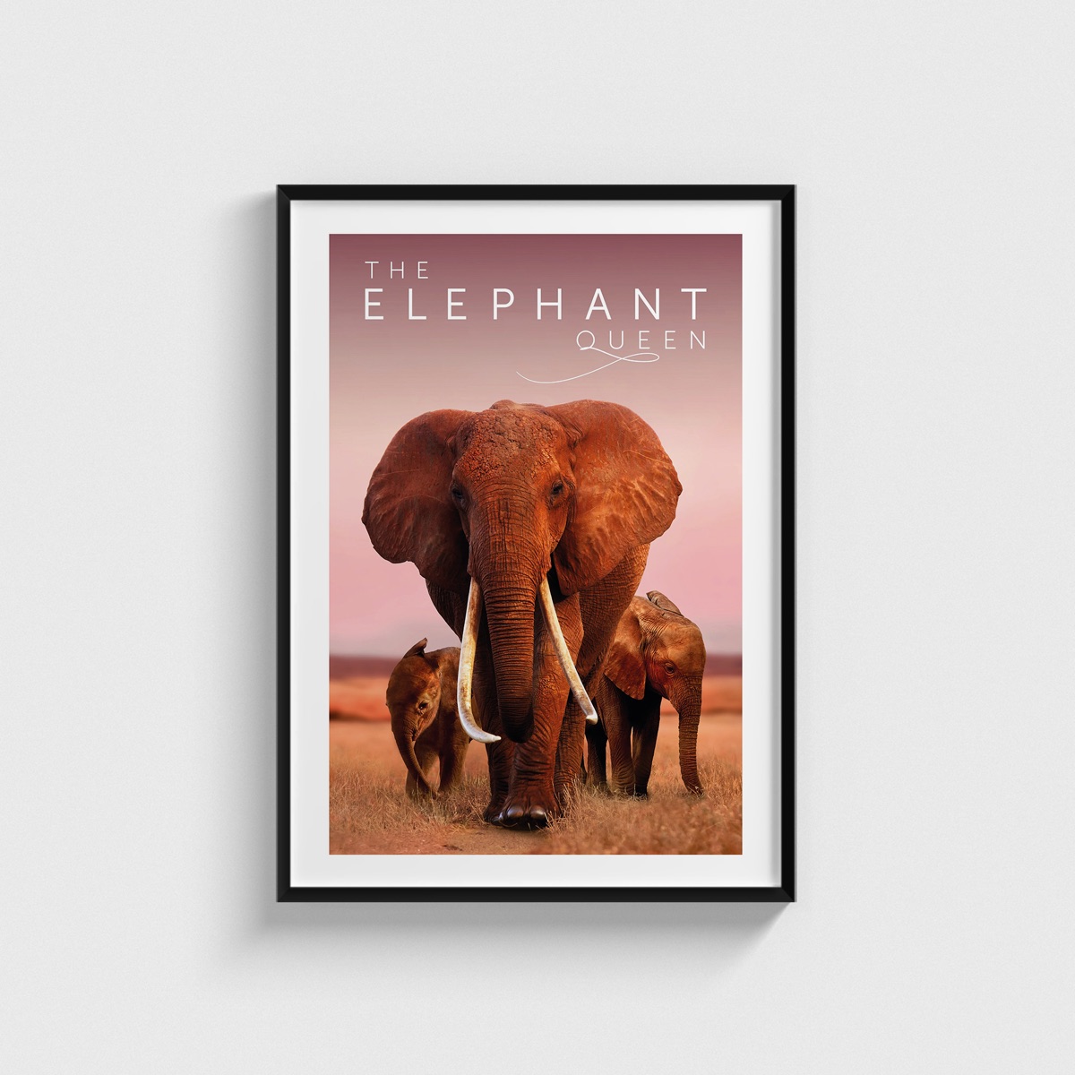 The Elephant Queen film posteri, siyah çerçeveli tablo
