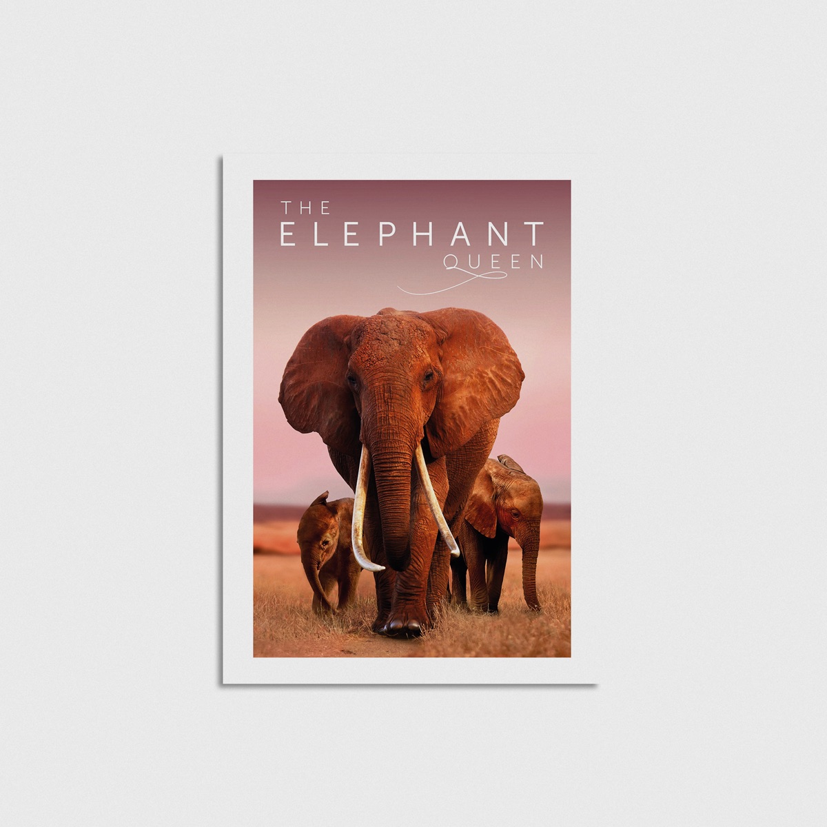The Elephant Queen film posteri, çerçevesiz poster
