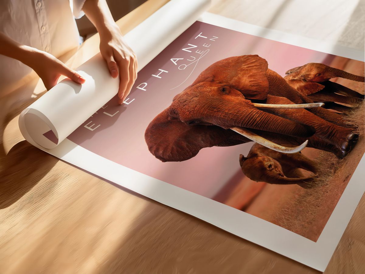 The Elephant Queen (2019) Film Posteri, rulo yapılmış çerçevesiz poster