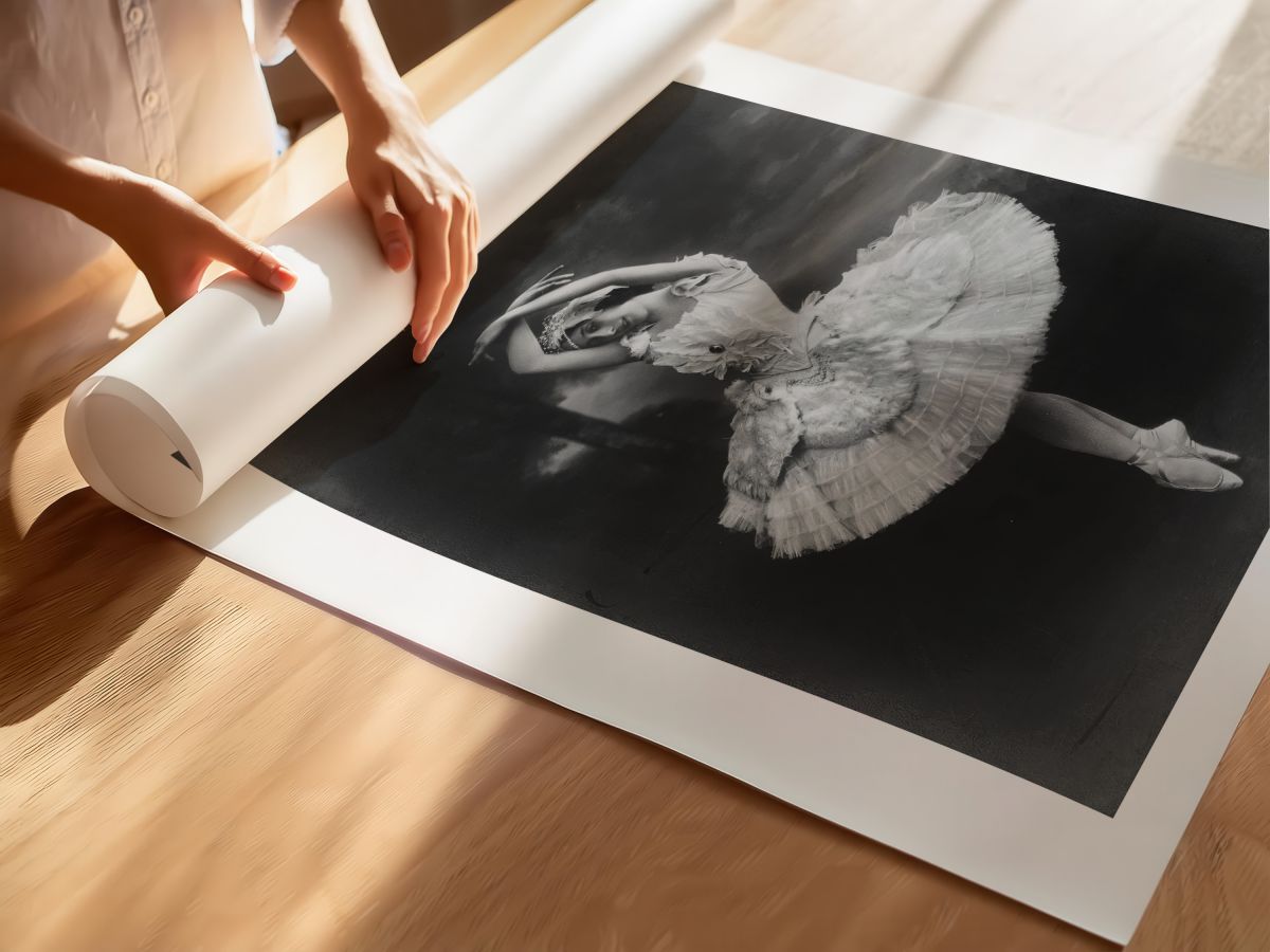 The Dying Swan (1925) Film Posteri, rulo yapılmış çerçevesiz poster