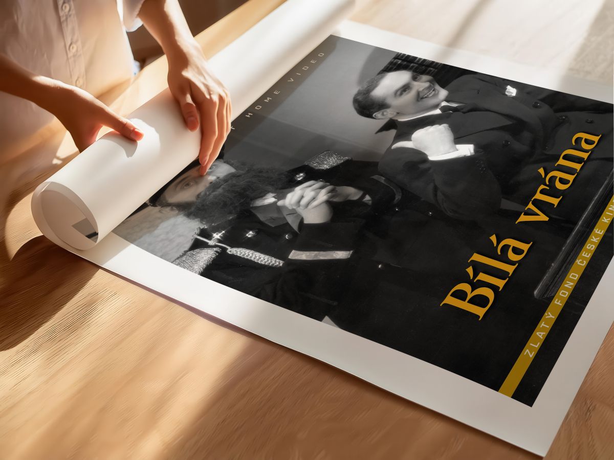 Bílá vrána (1938) Film Posteri, rulo yapılmış çerçevesiz poster